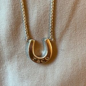 Horseshoe Tiffany Necklace
